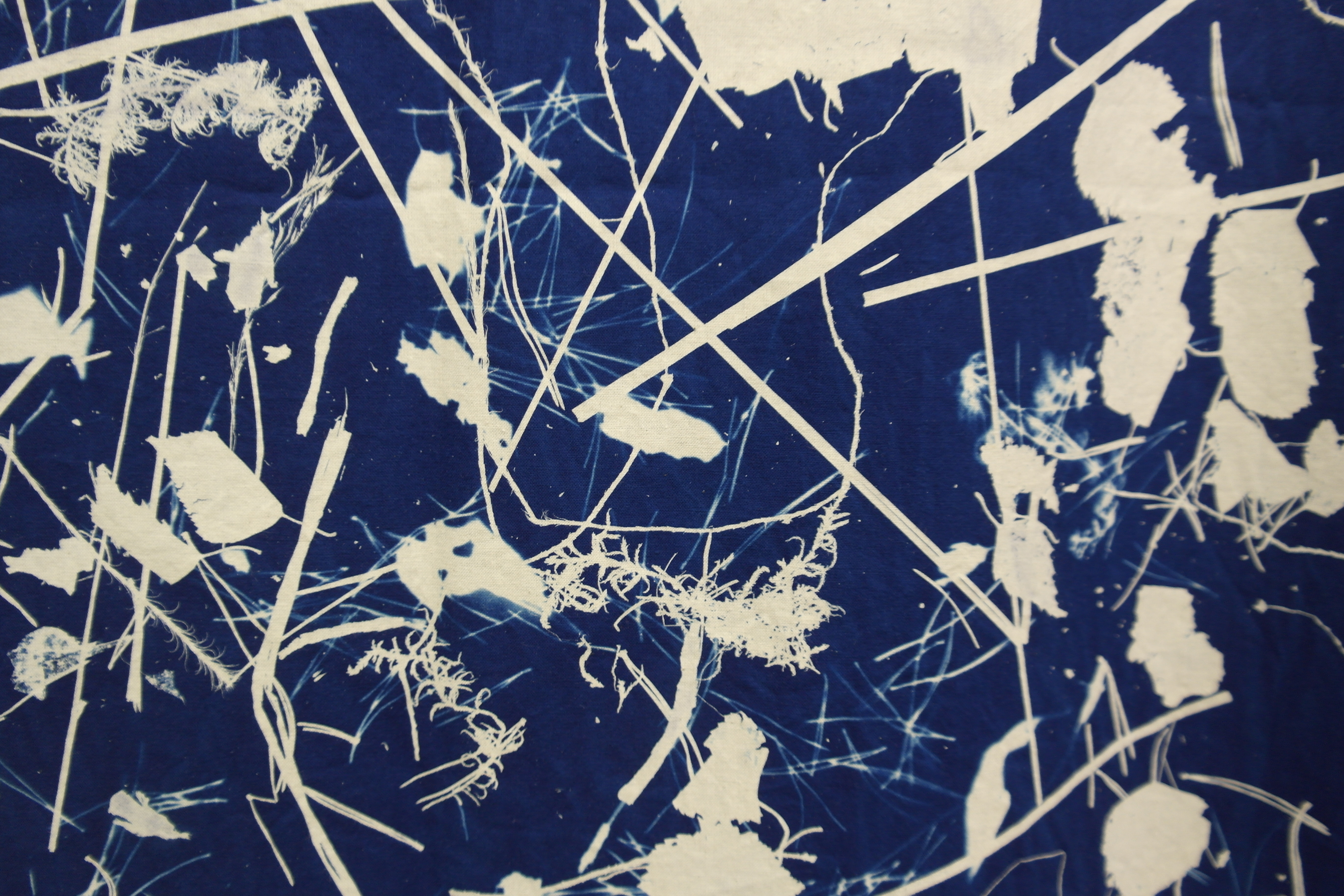 Zuzanna Rokita; 13052016134962.23725.761, cyanotype, textil, 100 x 150 cm, 2016, detail